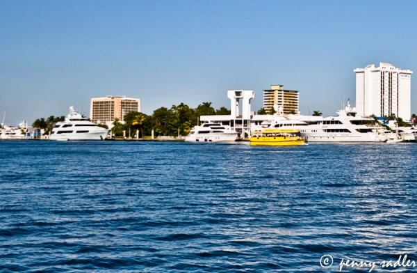 Water Taxi on the intracoastal ©pennysadler2013
